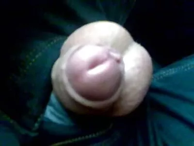 Nörttipoikaset haluavat ilmaisia porno filmejä pelata erilaisia ​​jännittäviä pelejä